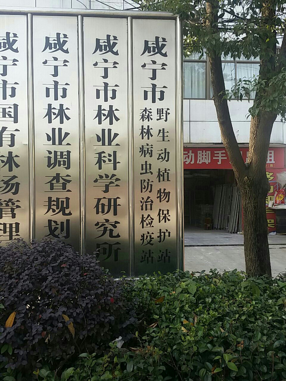 咸宁市森林病虫防治检疫站