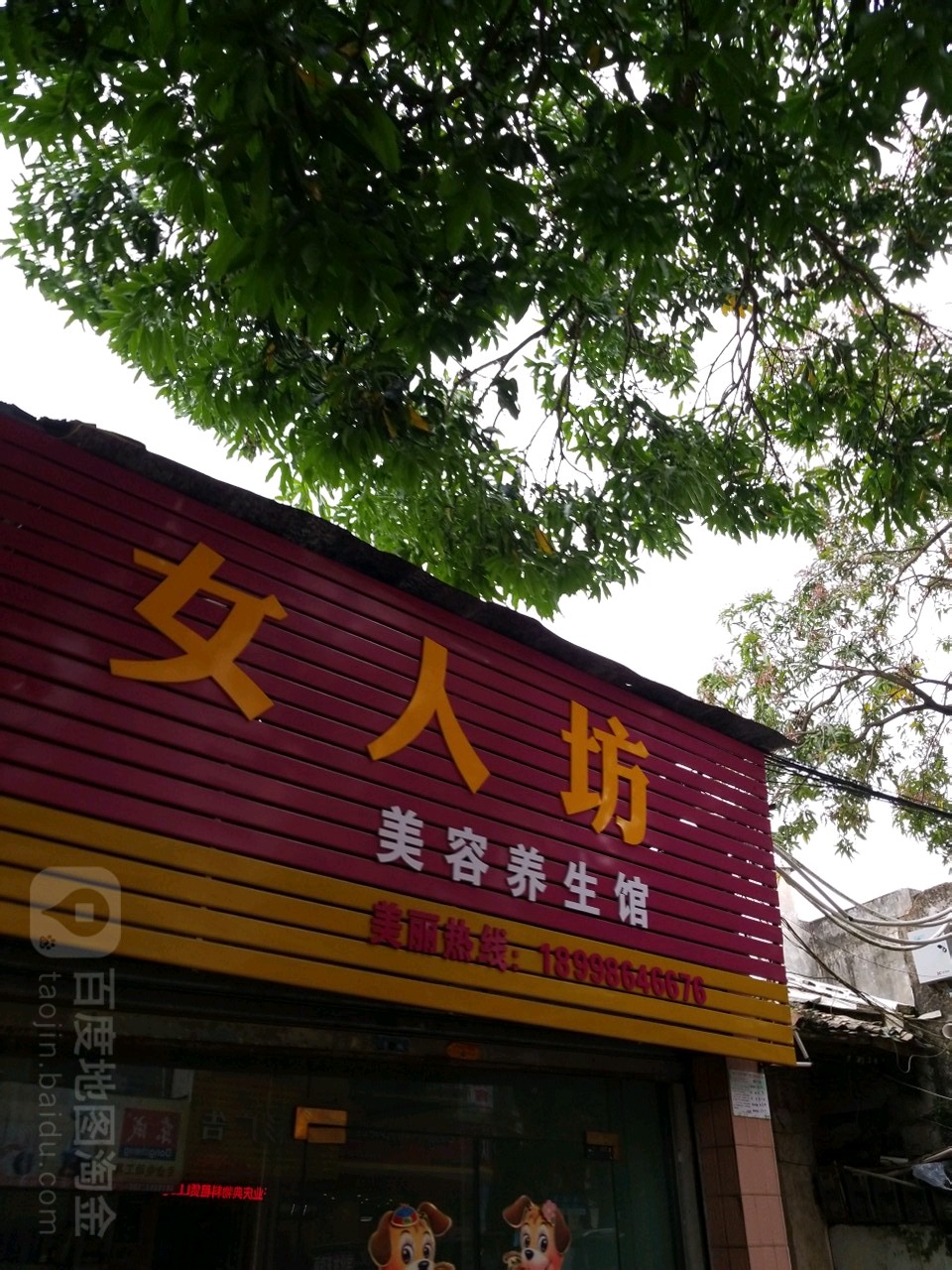 女人坊美容养生馆(府前路店)