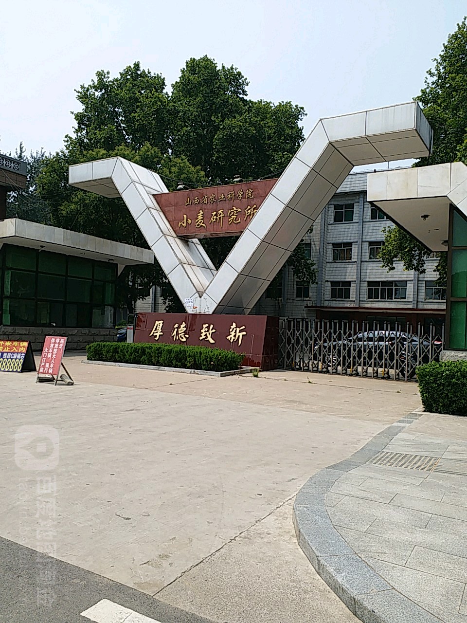 山西农业大学(山西省农业科学院)小麦研究所