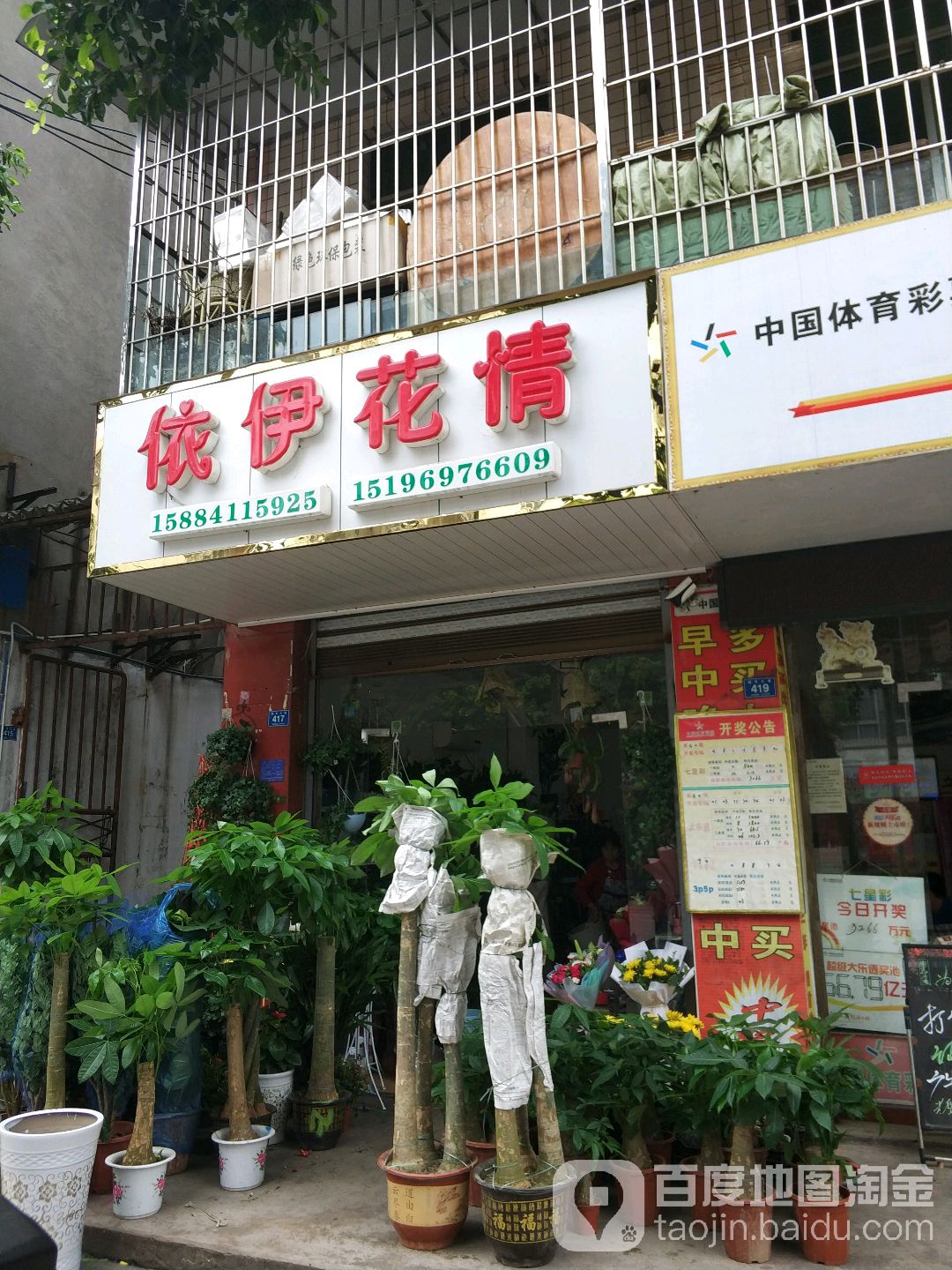依伊花情