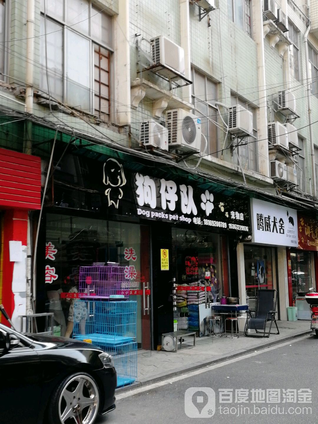 狗仔队宠物店(兴隆古玩街店)