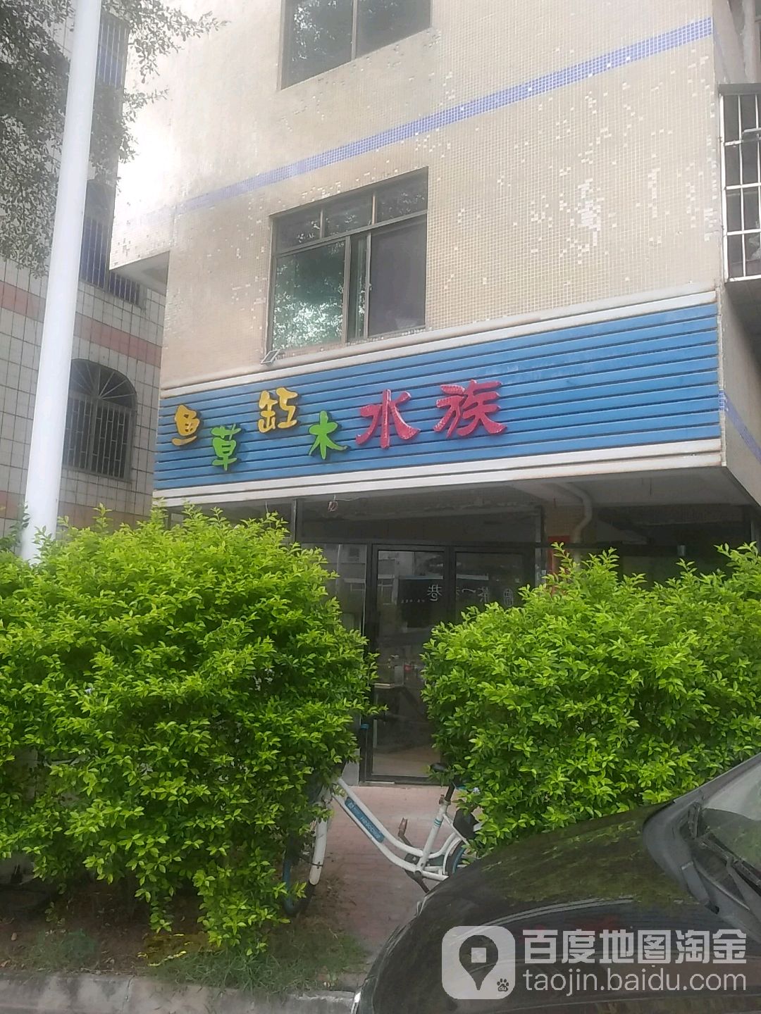 鱼缸草木水族