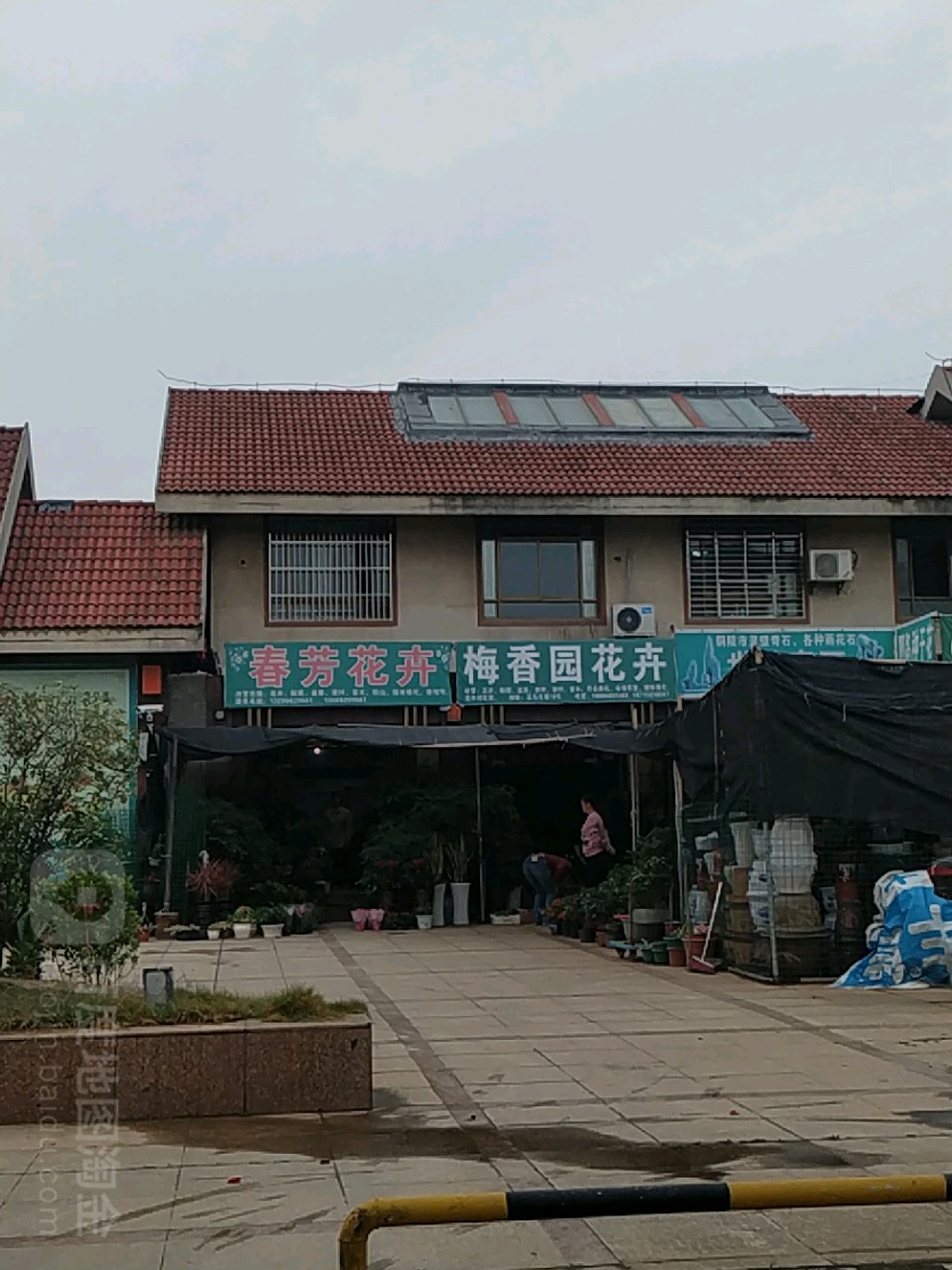 梅香园花卉
