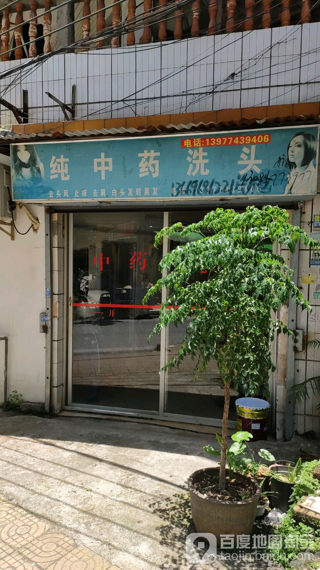 纯中药店茶籽洗发(工厂路店)