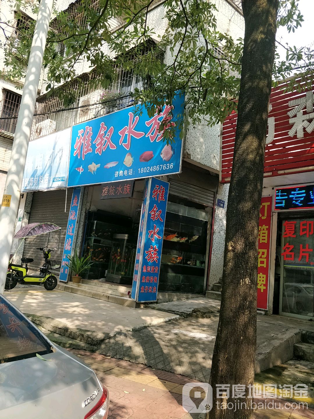 雅斜水族