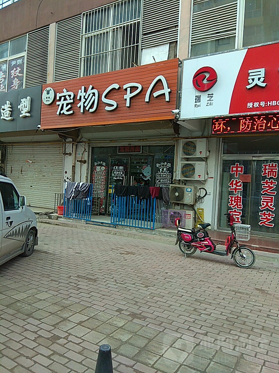 宠物SPA