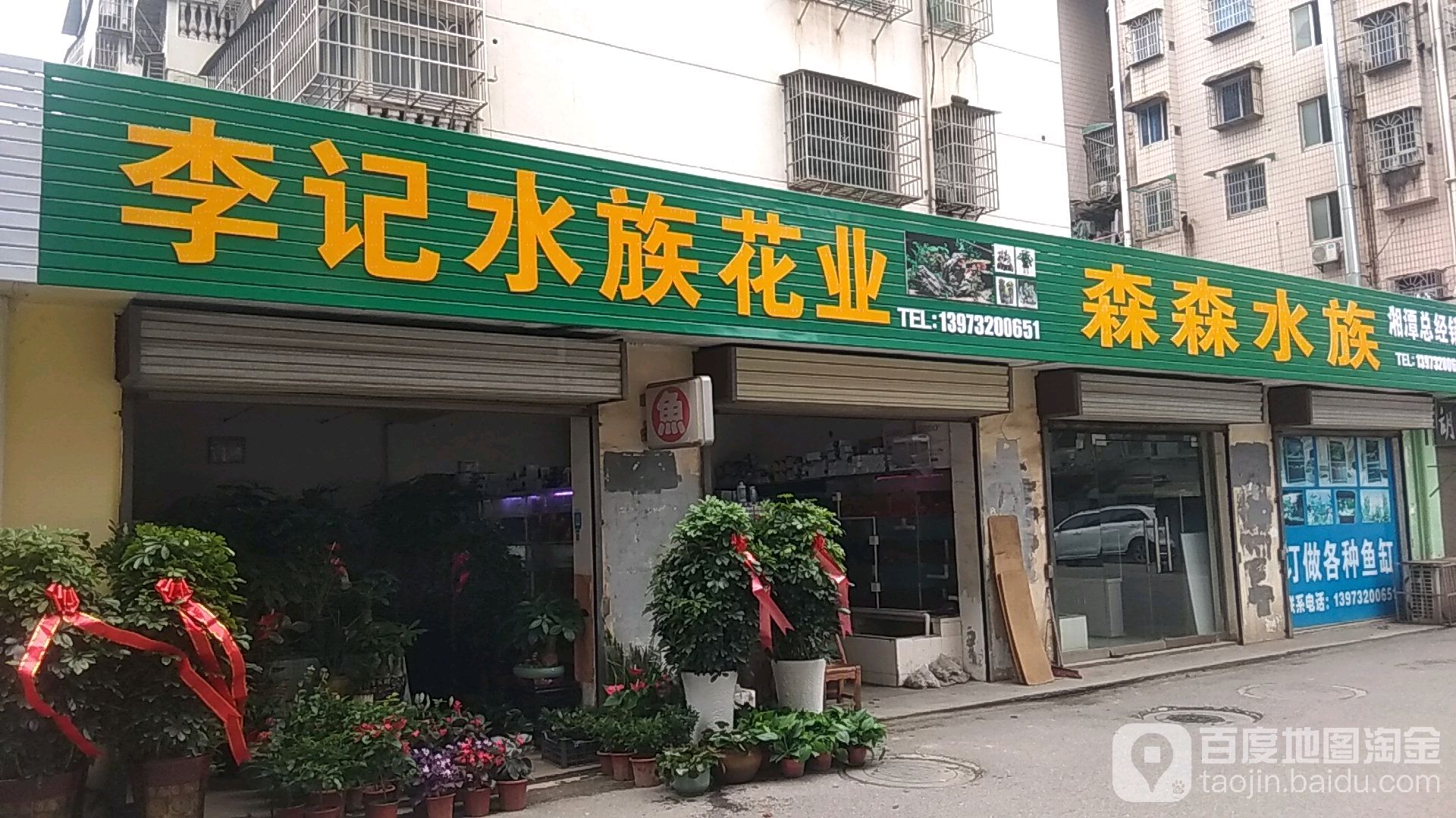 李记水艺·水族超市(金霞苑小区店)