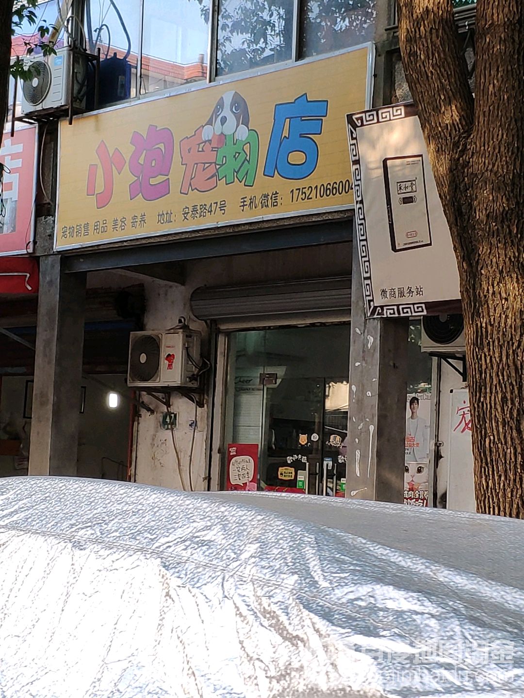 小泡宠物店