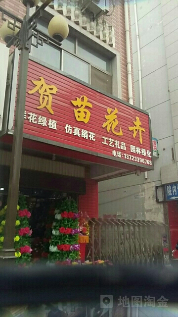 贺苗花卉