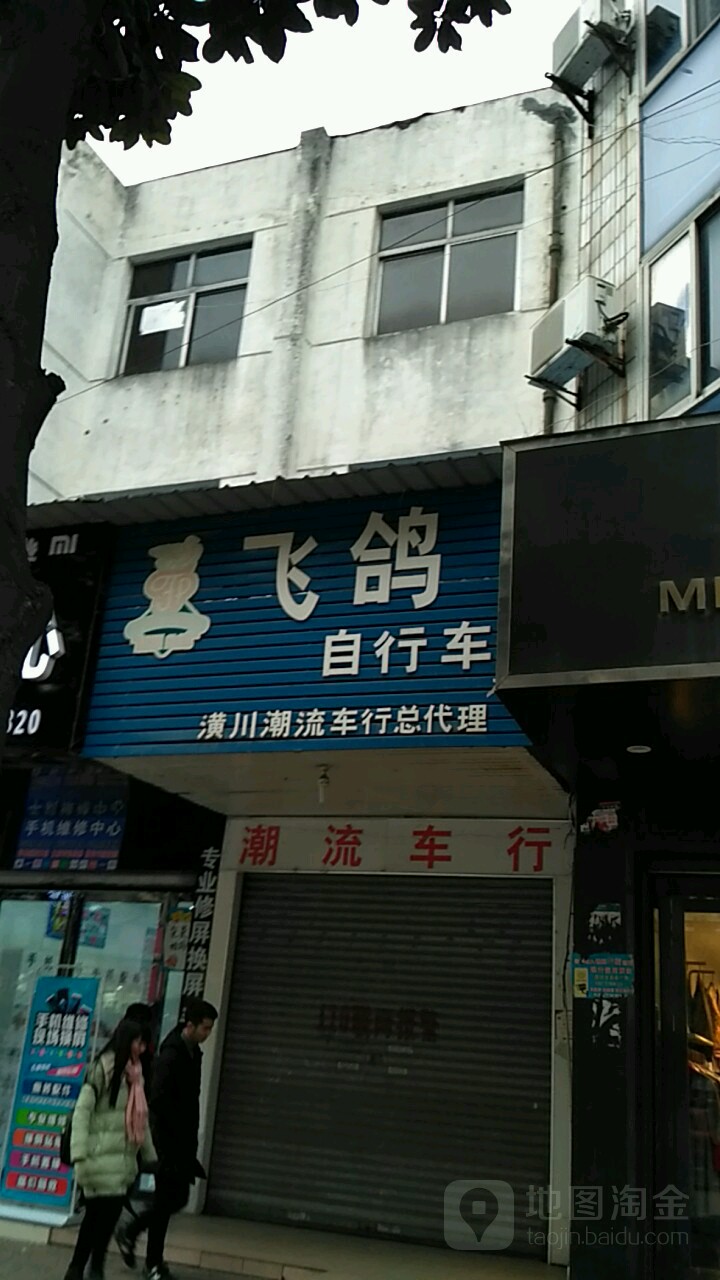 潢川县飞鸽自行车潢川潮流车行总代理(跃进路店)