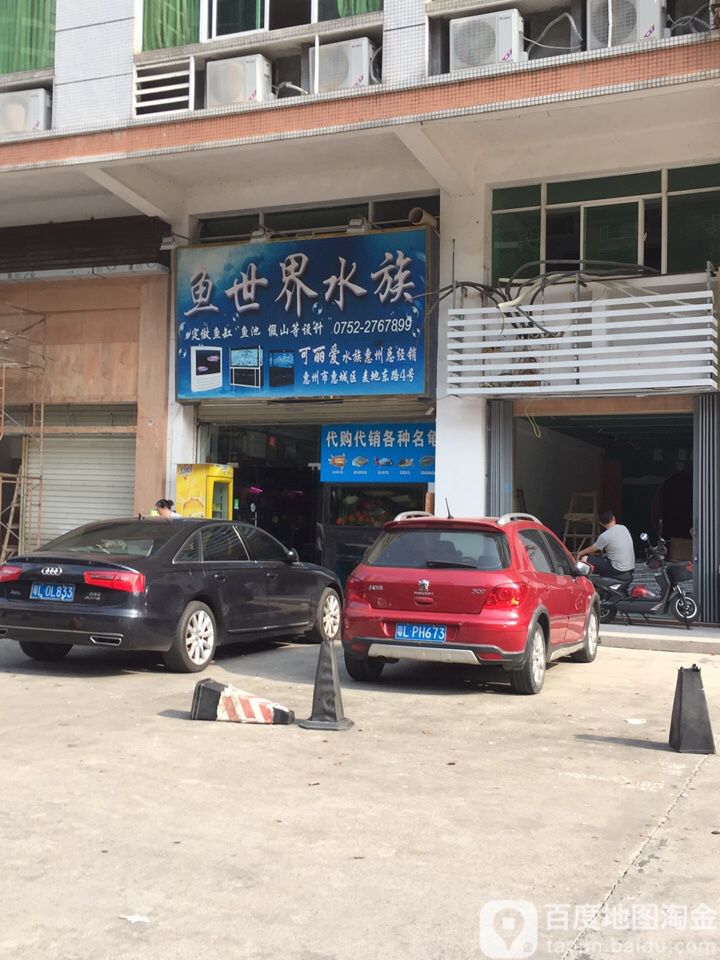 鱼世介水族(麦地东路店)