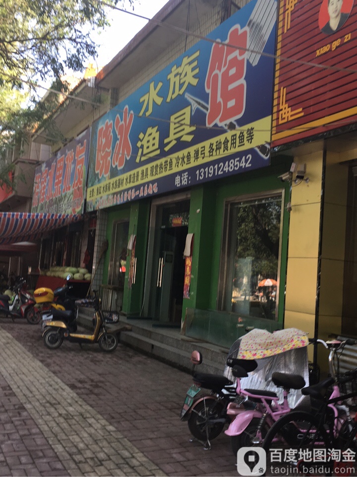 晓冰水族馆