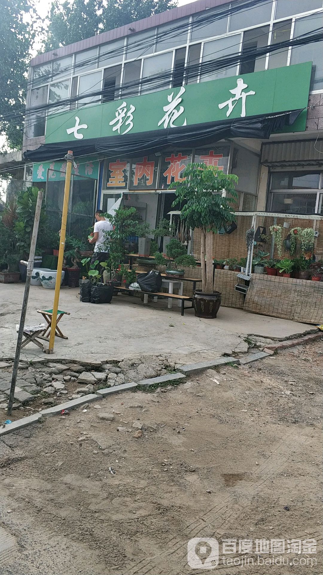 七彩花卉(滨海路店)