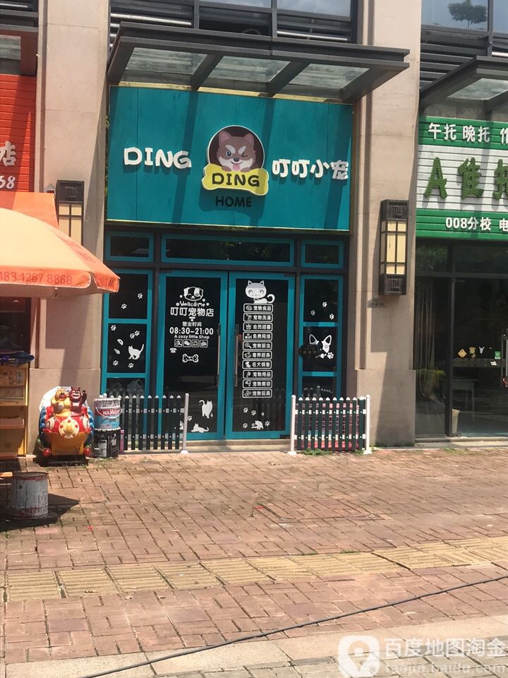 叮叮小宠宠物店