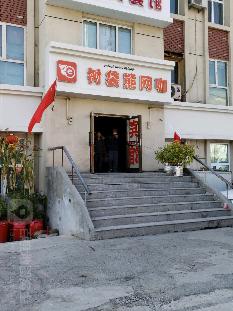 树袋熊豆网咖