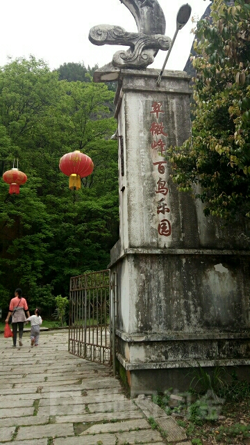 翠微峰百鸟花园