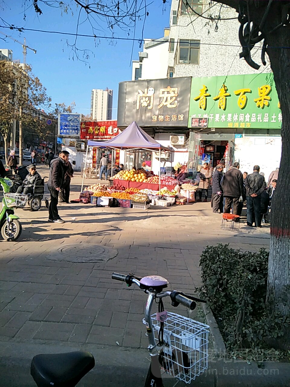 尚宠宠物生活馆(长风路店)