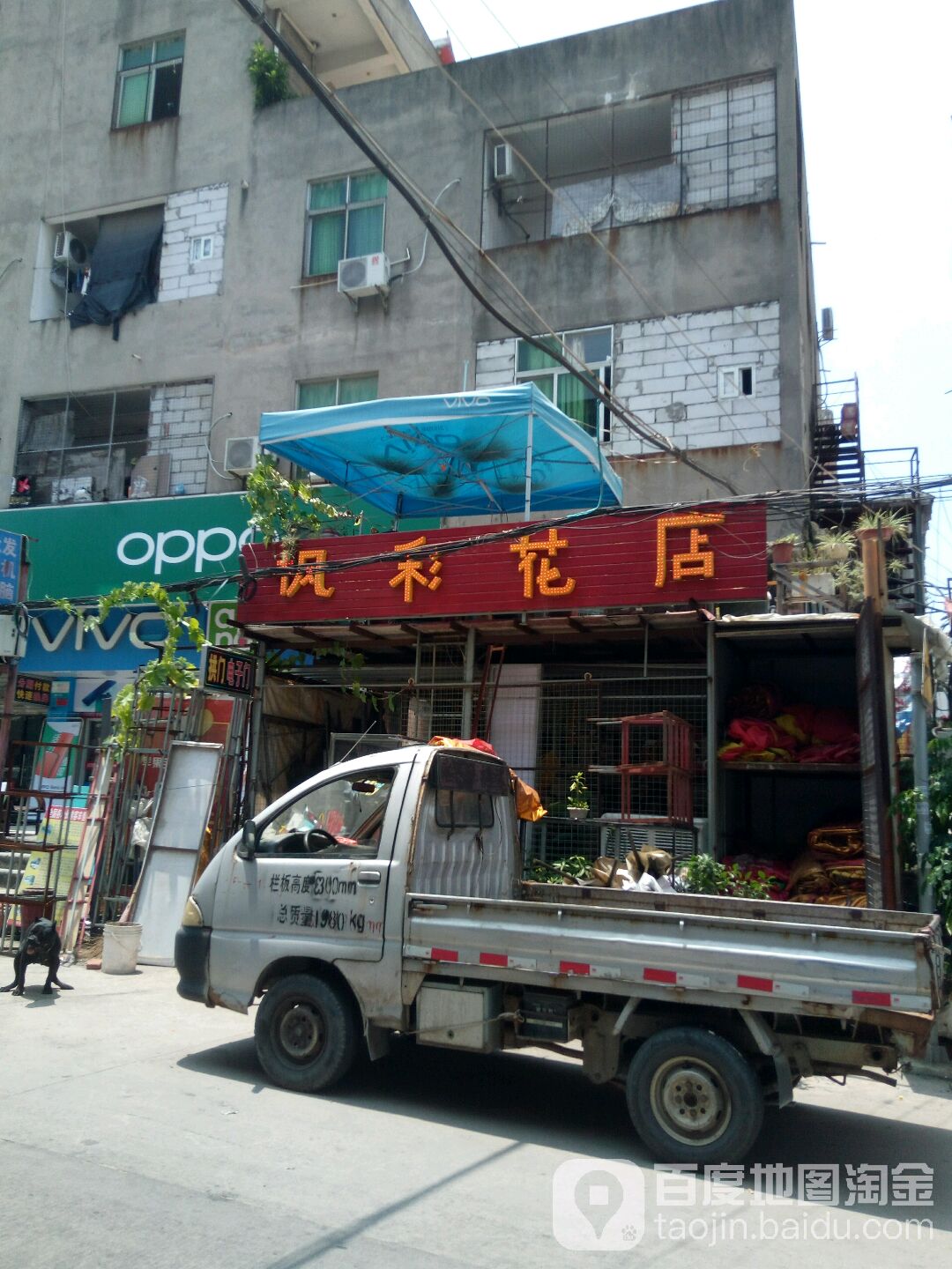 枫彩花店