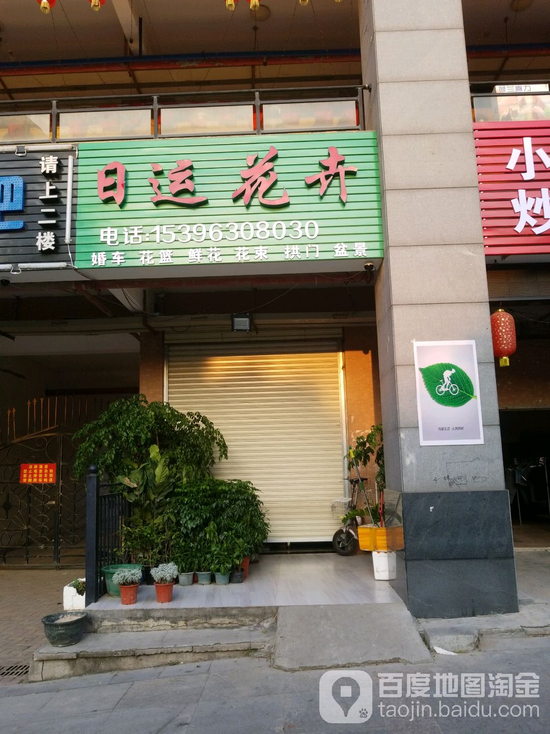 日运花卉