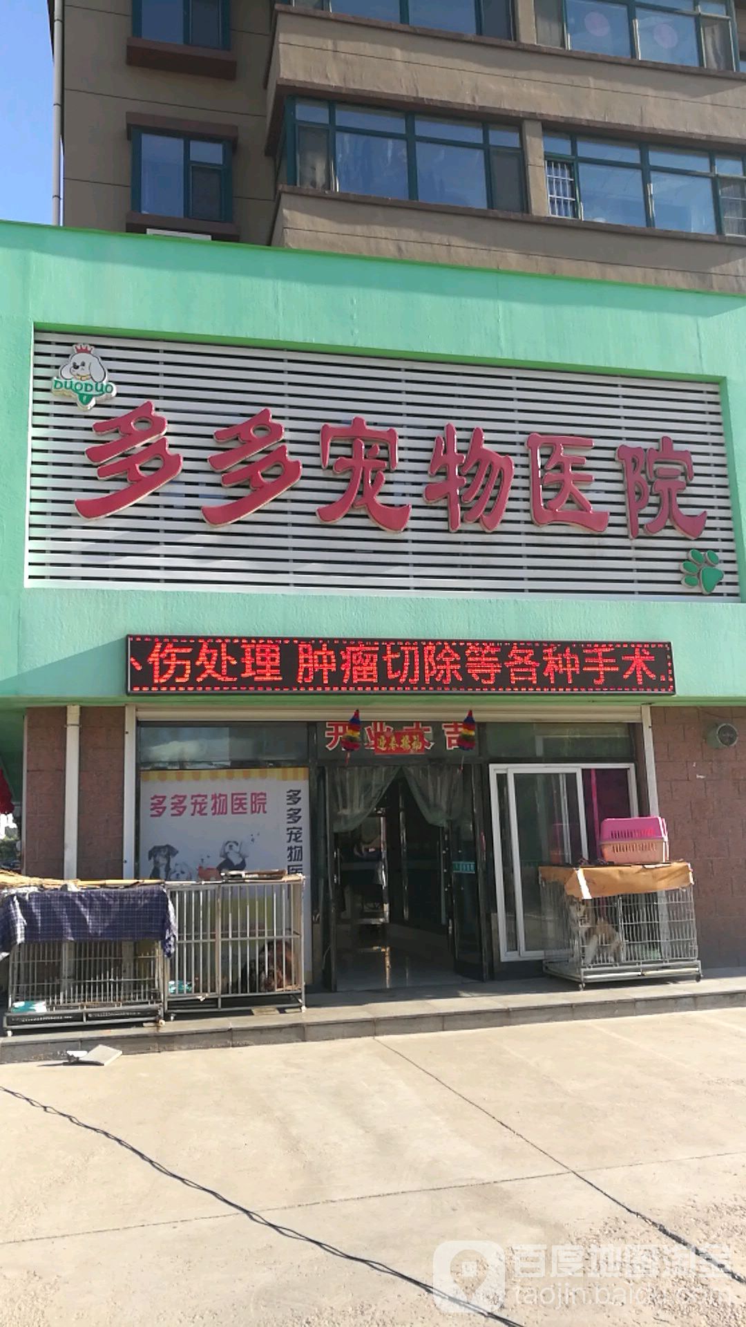 多多宠物医院(滨河北路店)