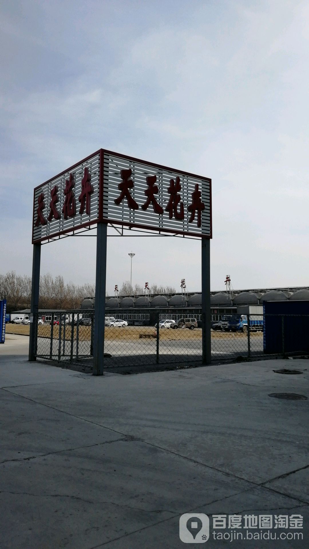 天天花卉批发市场