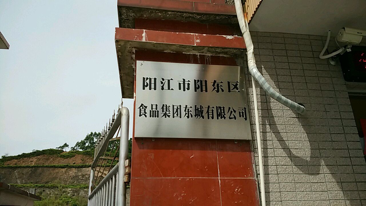 阳江市阳东区食品集团东城有限公司(迎宾大道)