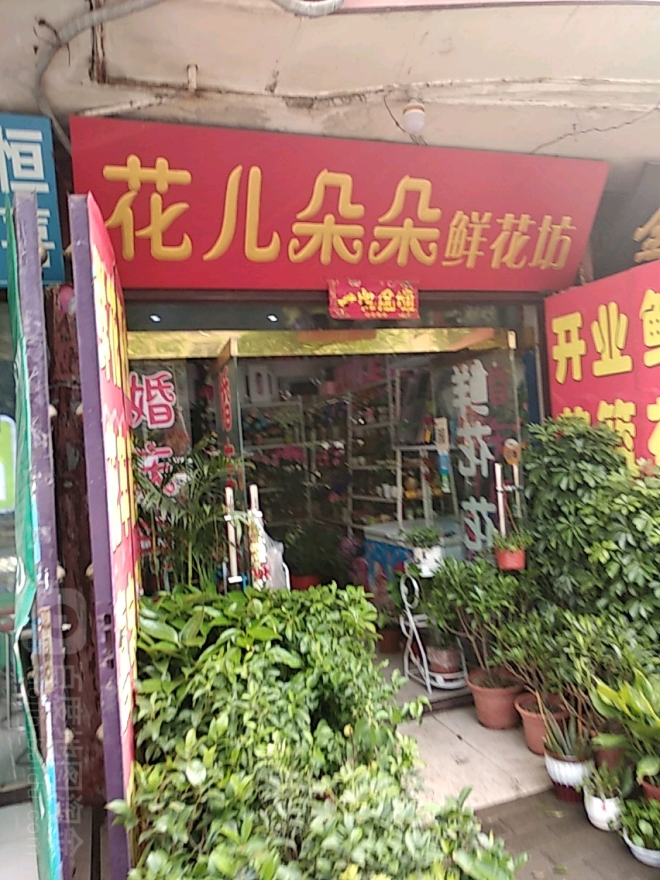 社旗县花儿朵朵鲜花坊(红旗东路店)