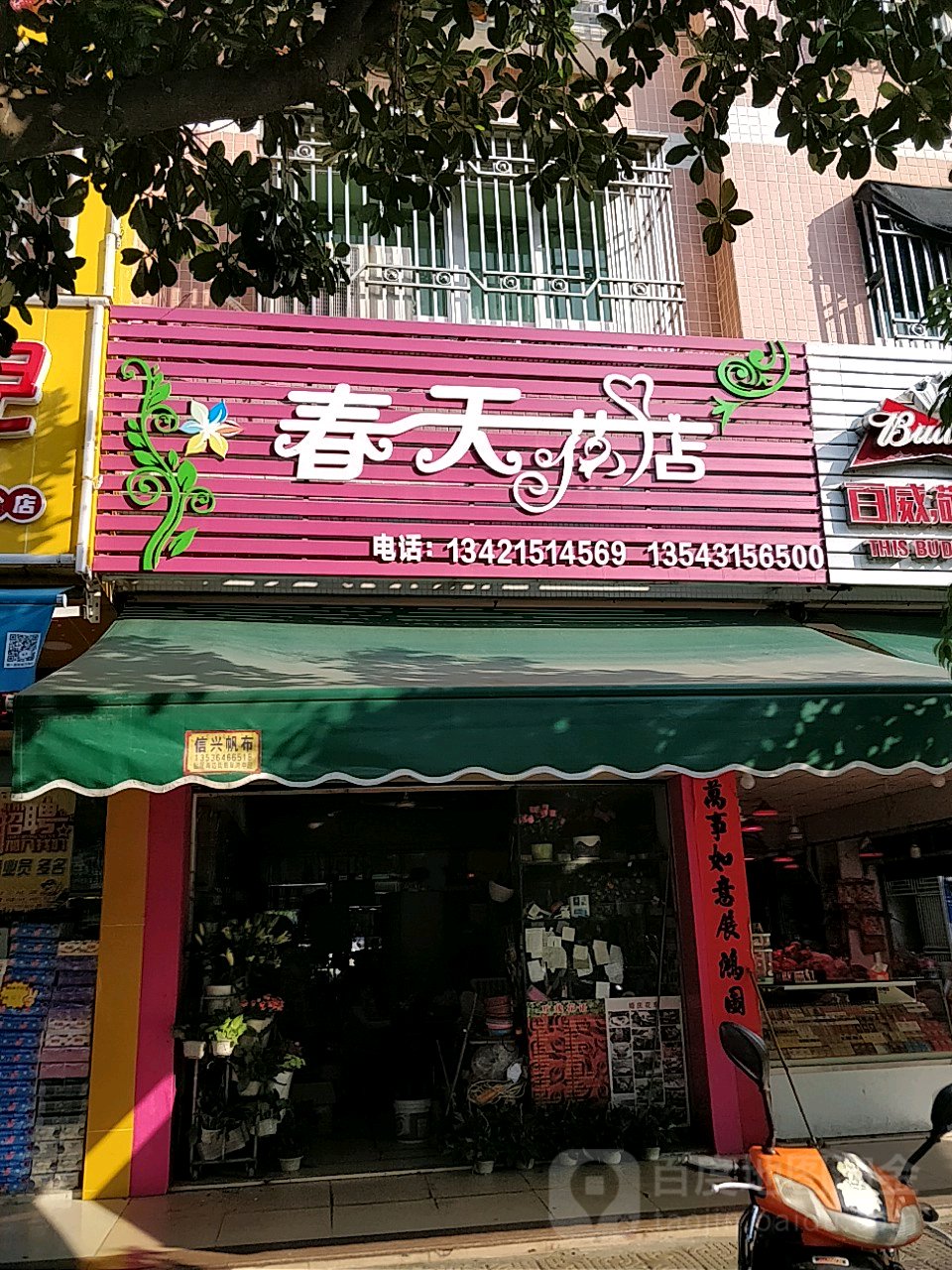 春天花店