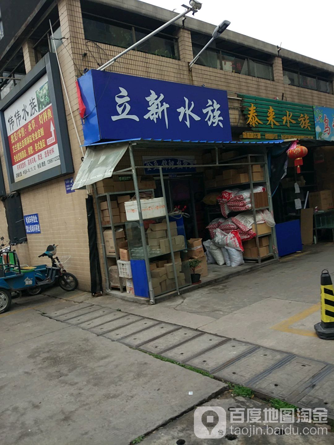 立瞳睡族