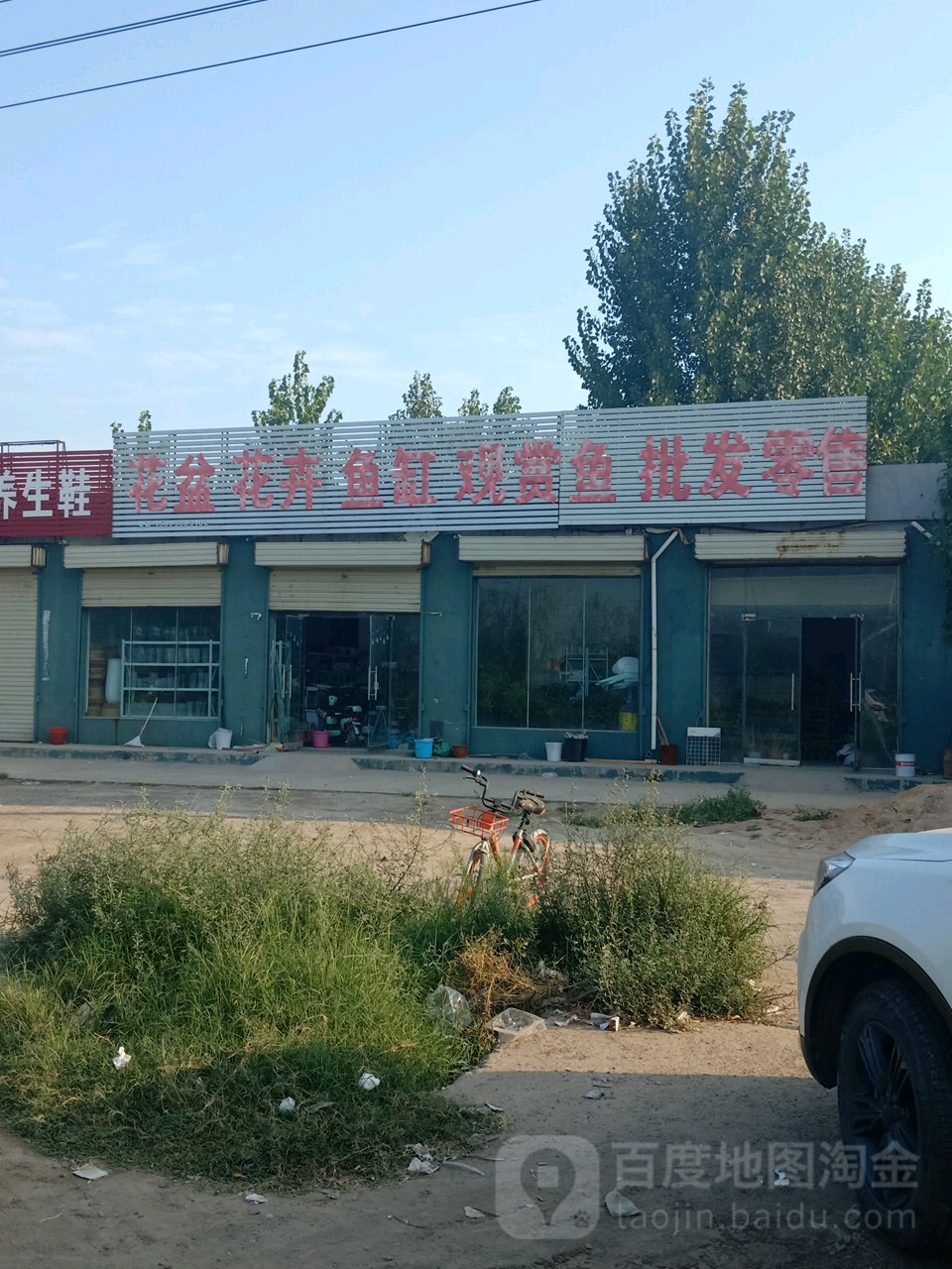 花盆花卉鱼缸观赏鱼批发零售