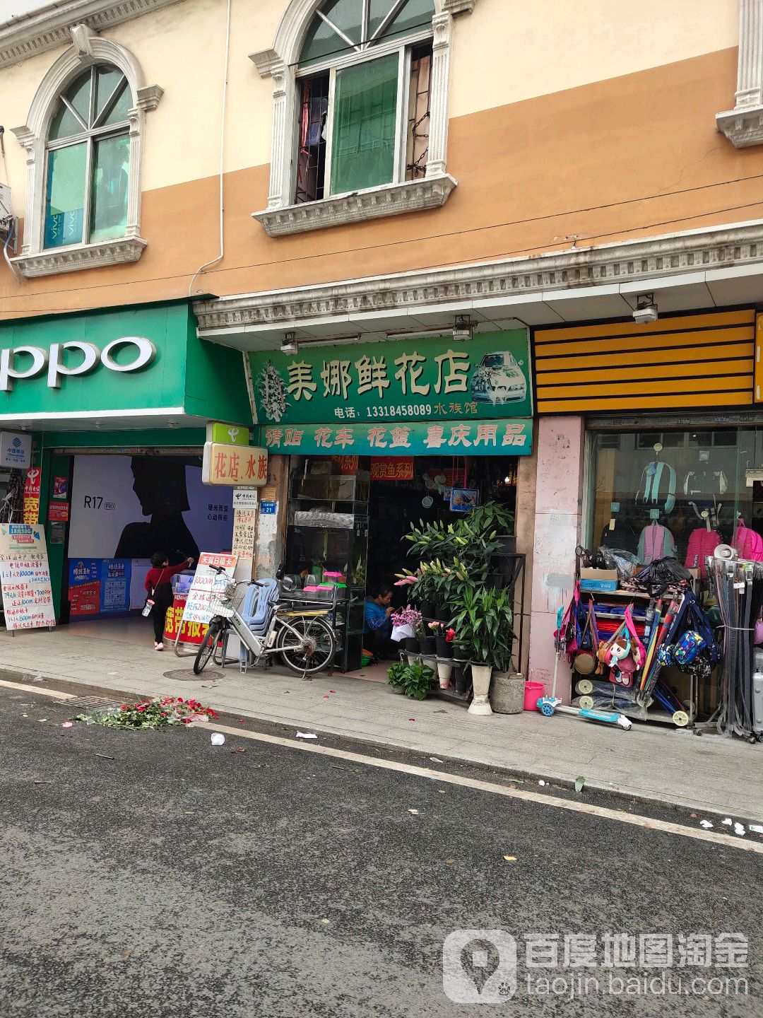 美娜鲜花海族
