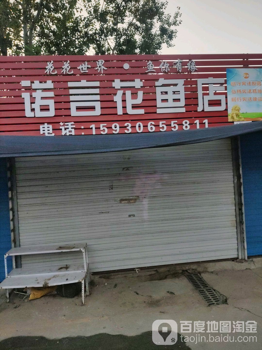 诺言花鱼店