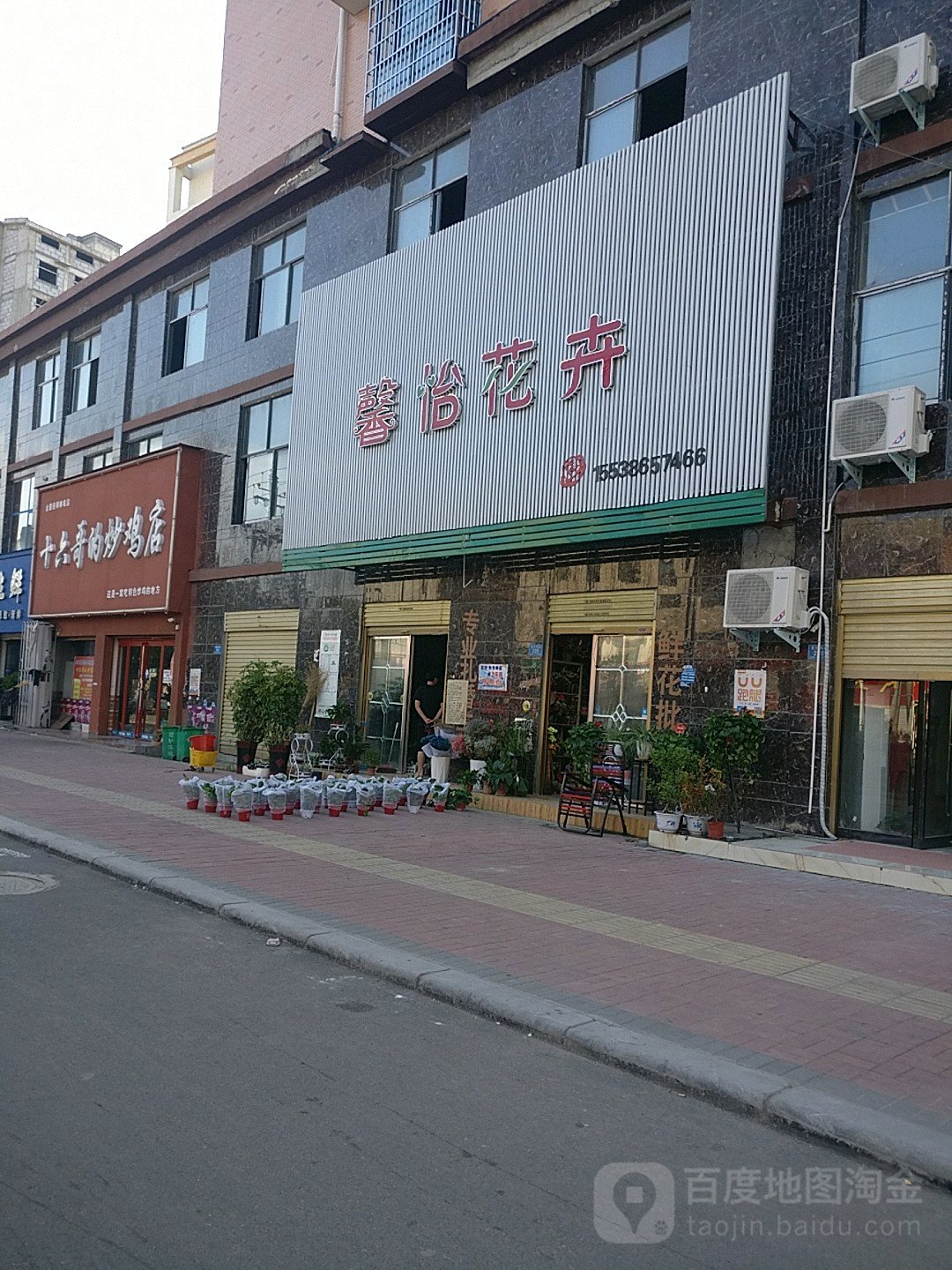 郸城县馨怡花卉(育新路店)