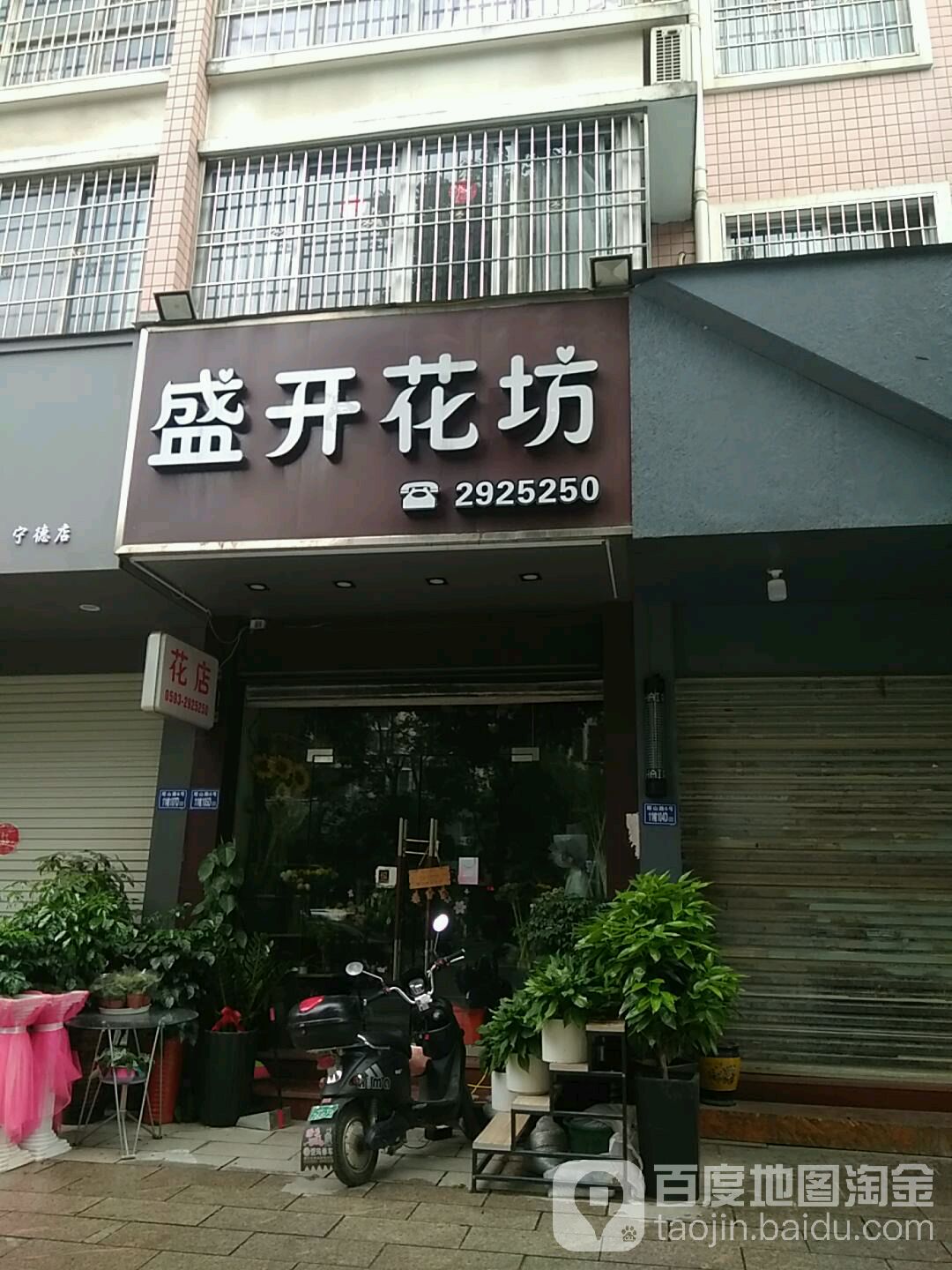 宁德市东侨经济开发区盛开花坊(沃尔玛店)