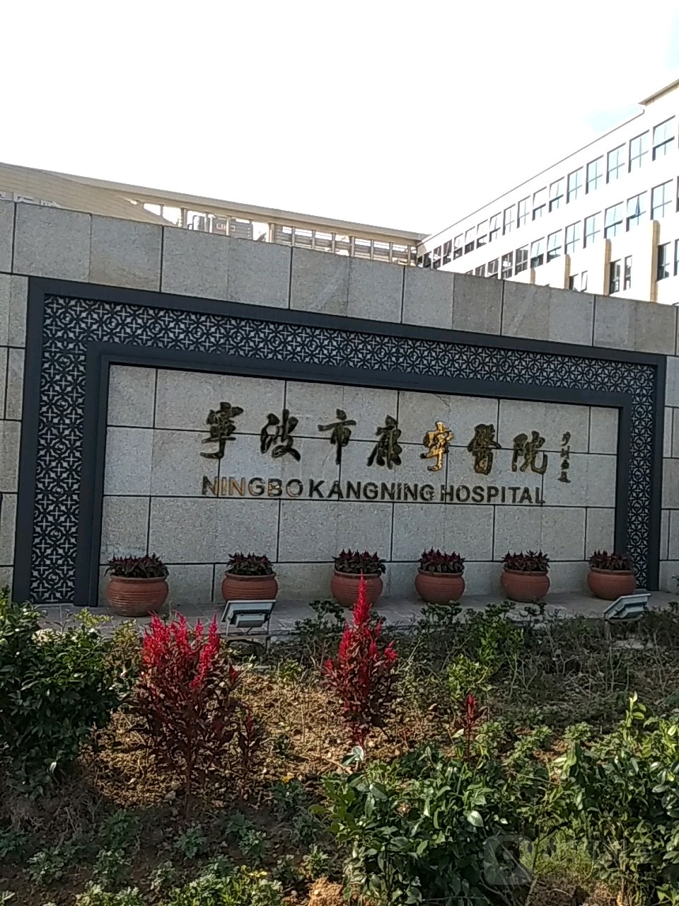 宁波大学附属康宁医院