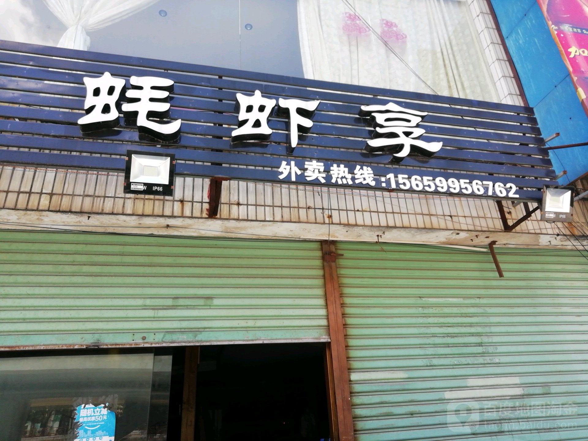 蚝瞎想