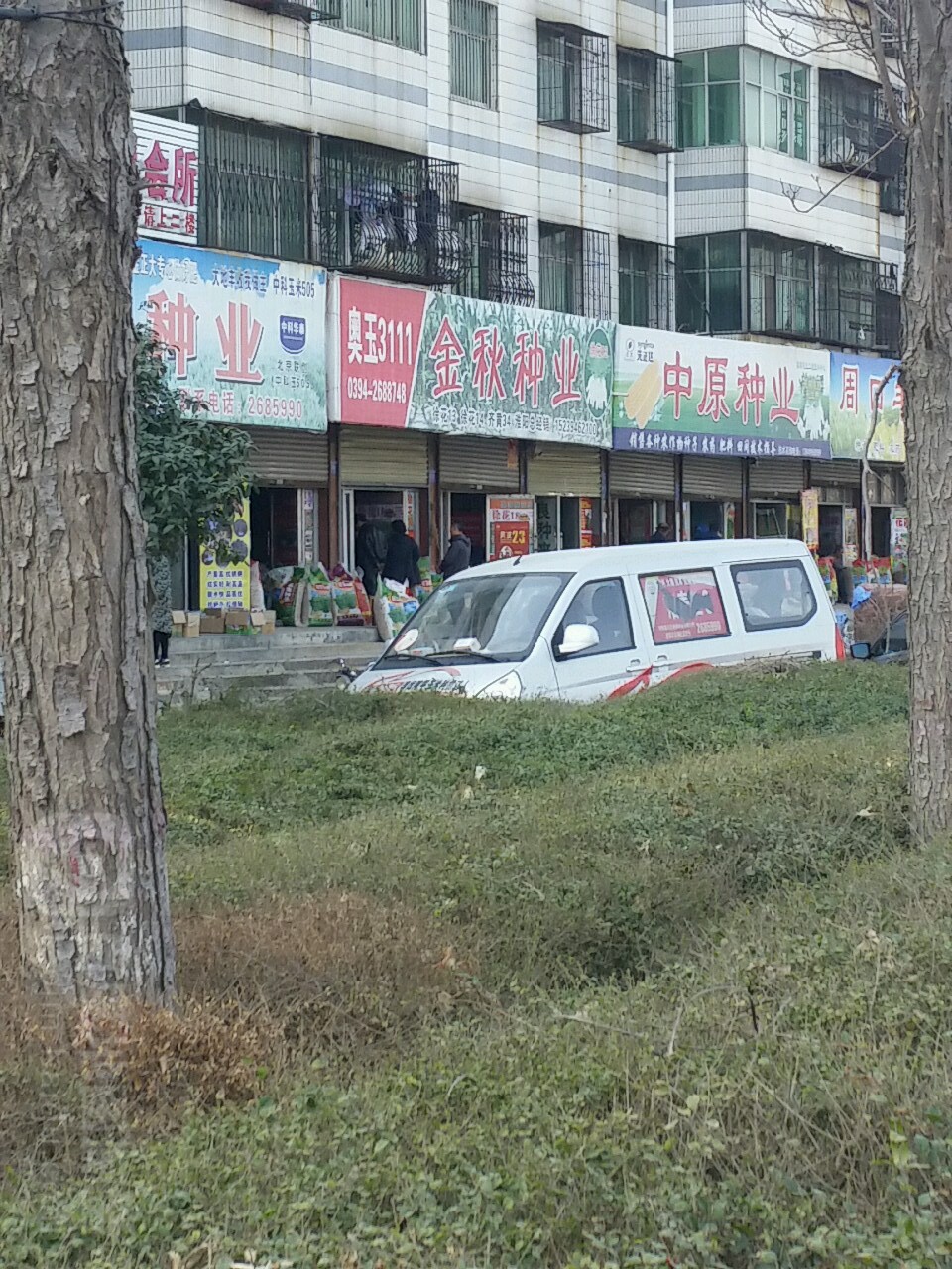 淮阳区金秋种业(龙都大道中路店)