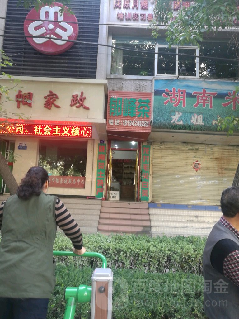 郁峰茶