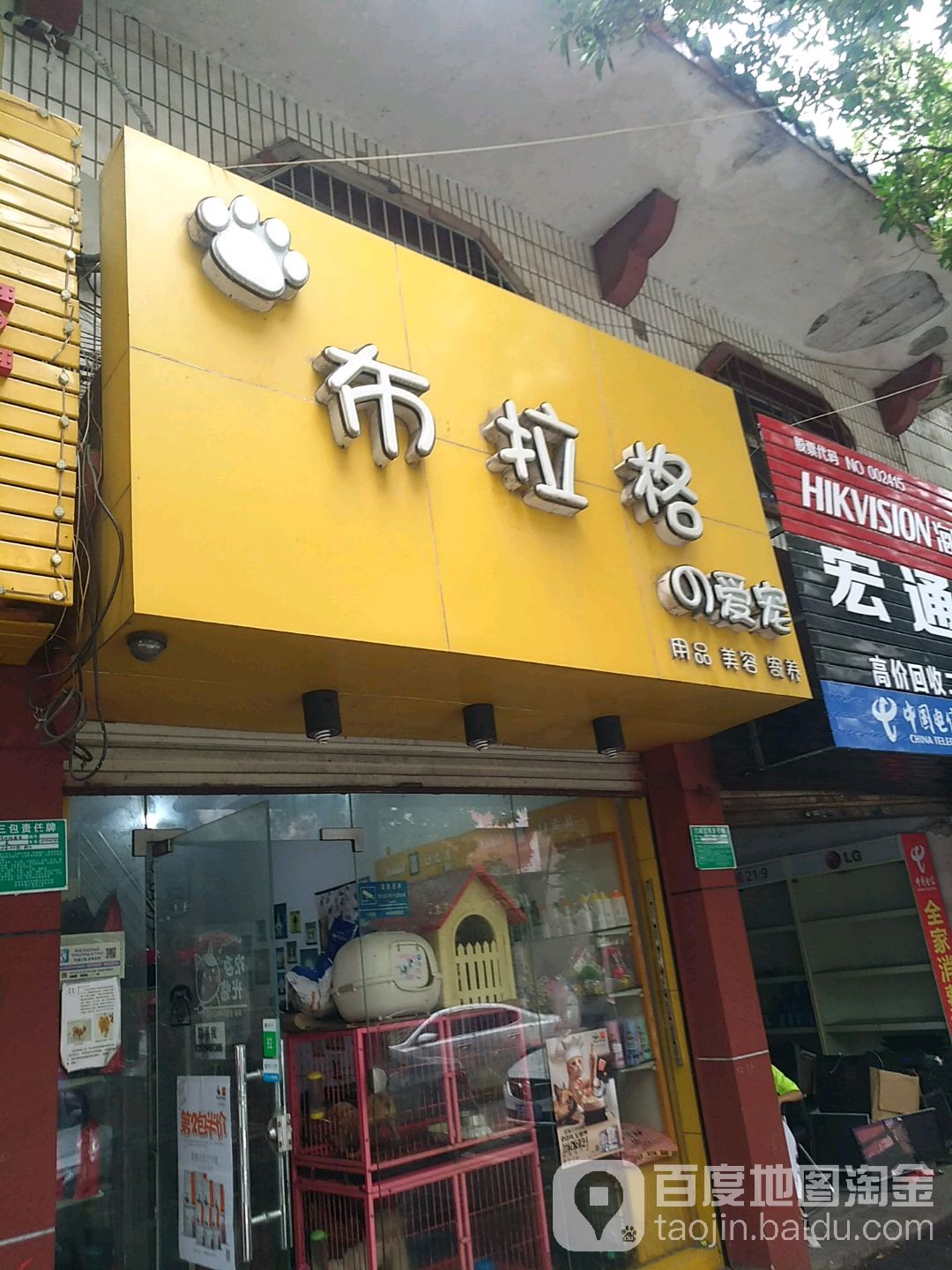 江西福州布拉格宠物店