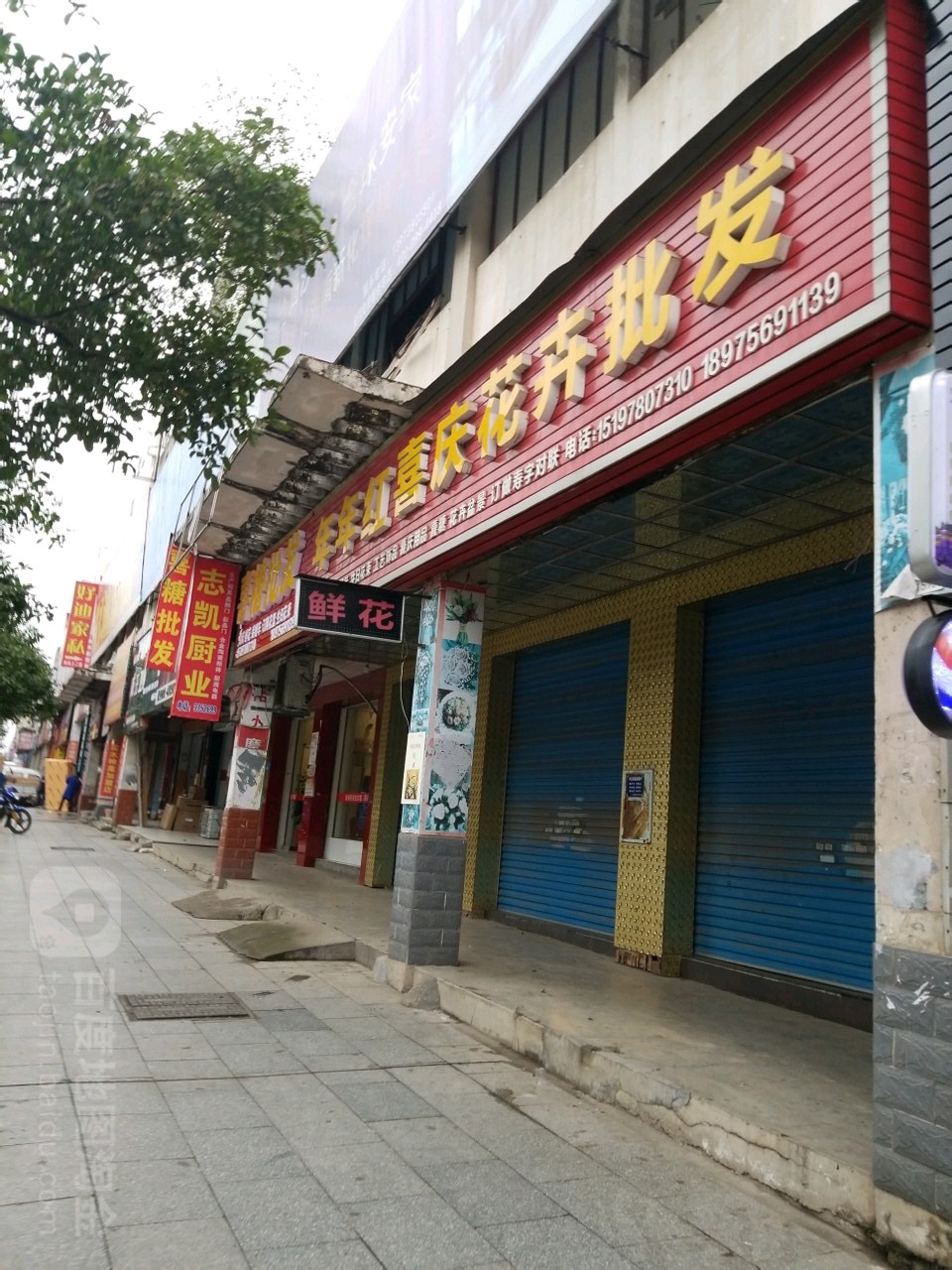 年年红喜庆花卉批发