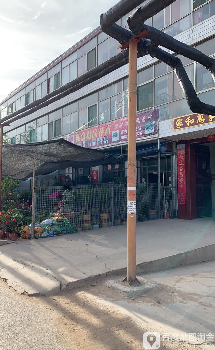 如意花卉(杨盘街店)