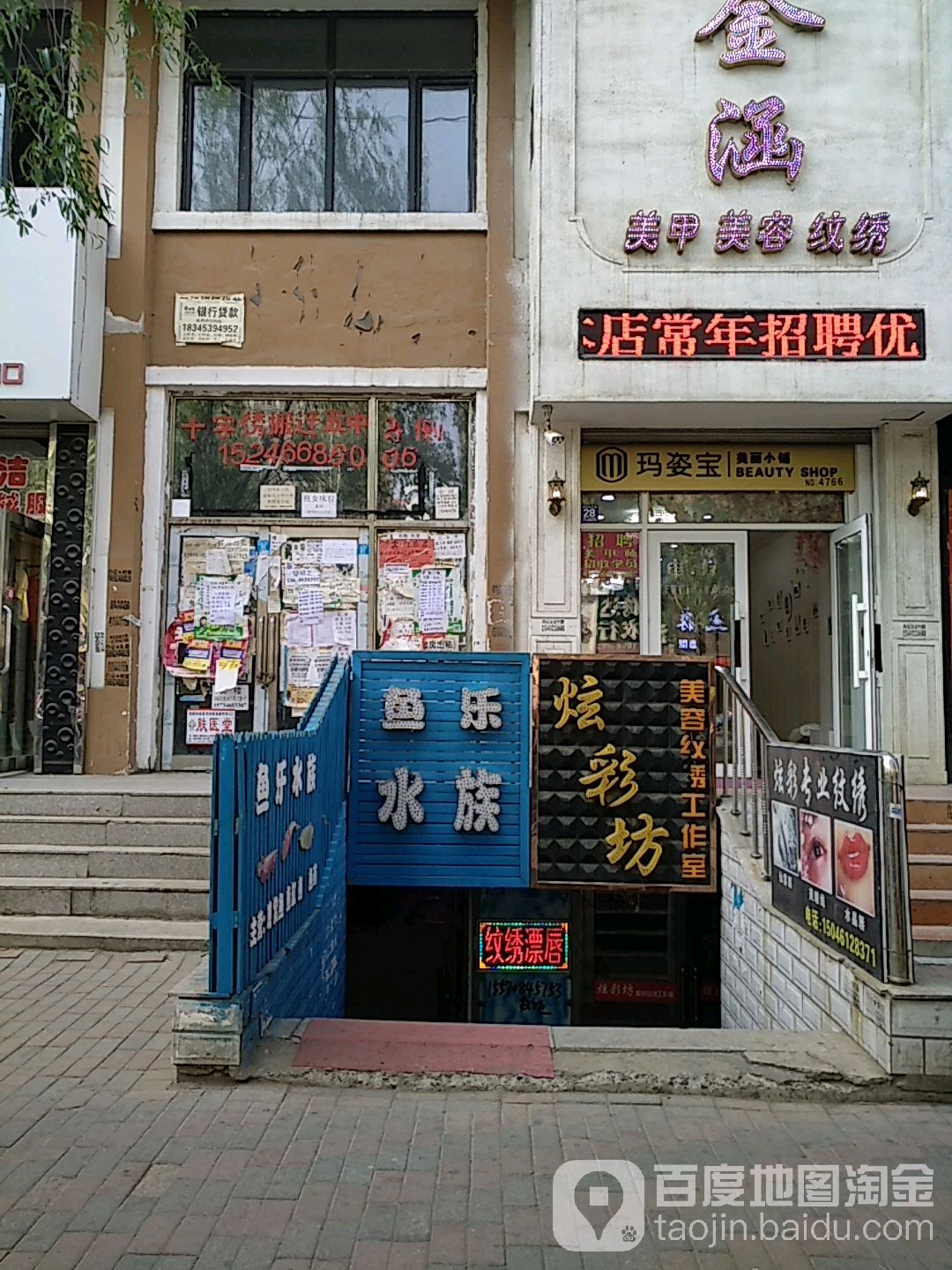 鱼乐水族(世纪现代城店)