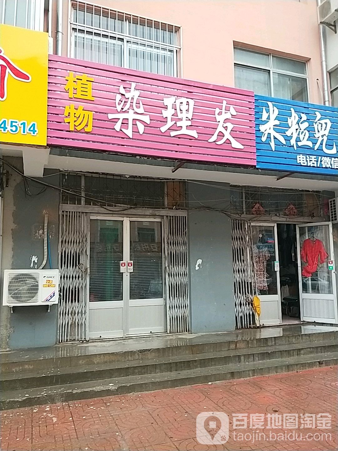 植物染理发