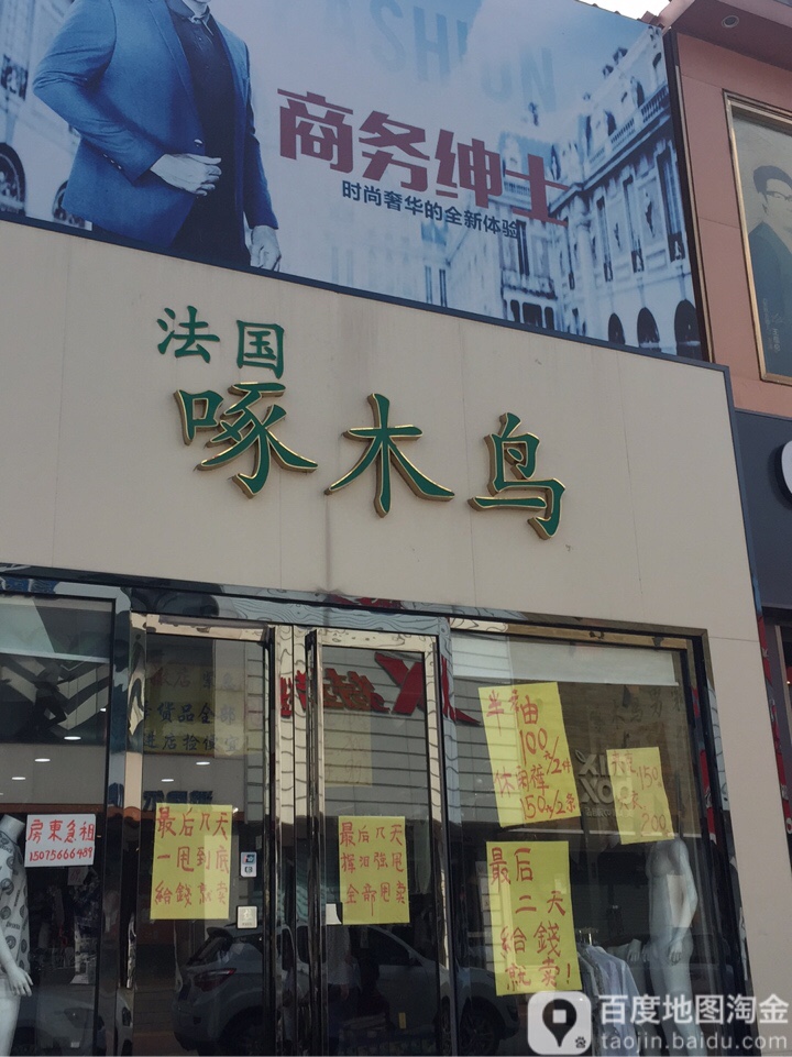 啄木鸟(银河中心店)
