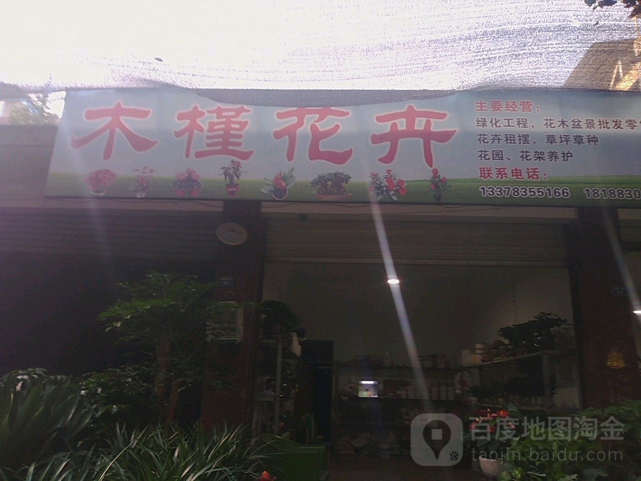 木槿花卉(紫薇上街店)