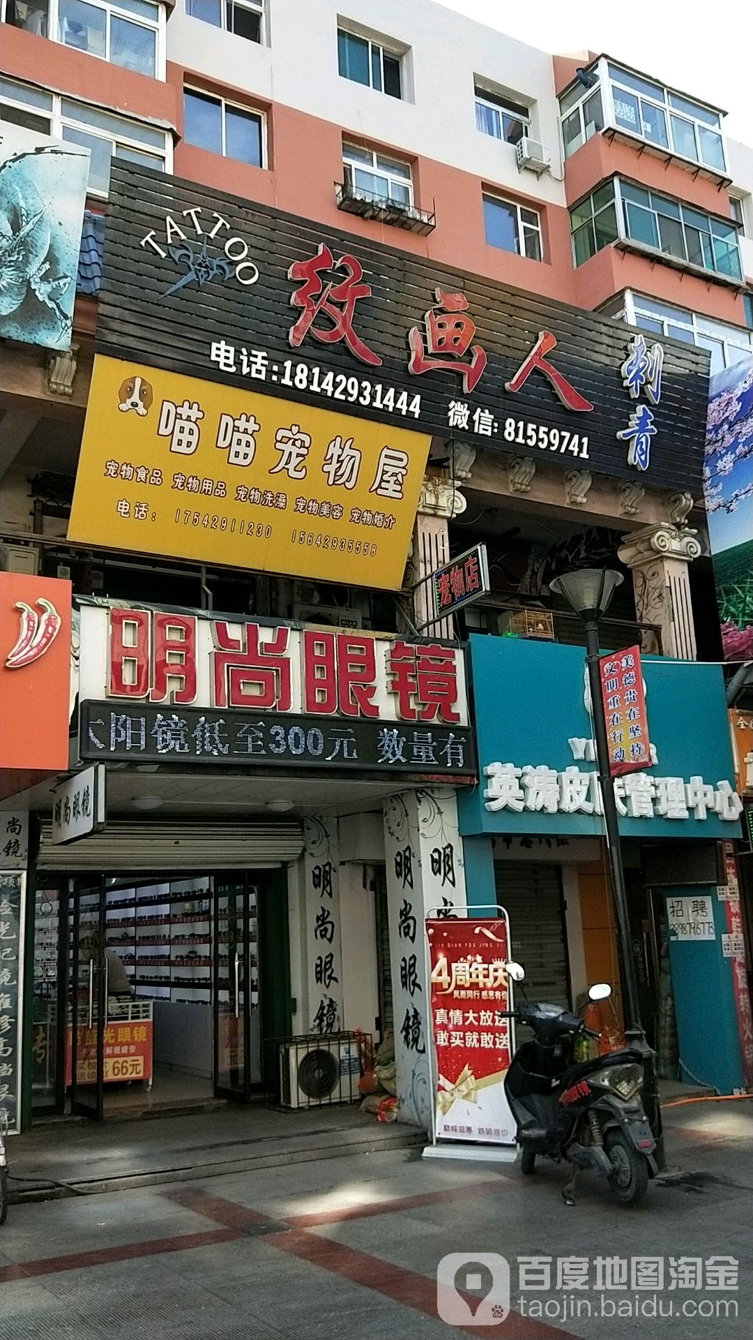 喵喵宠物