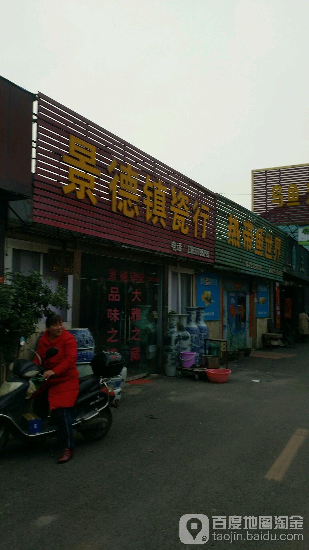 热带鱼世界(南阳花鸟市场店)