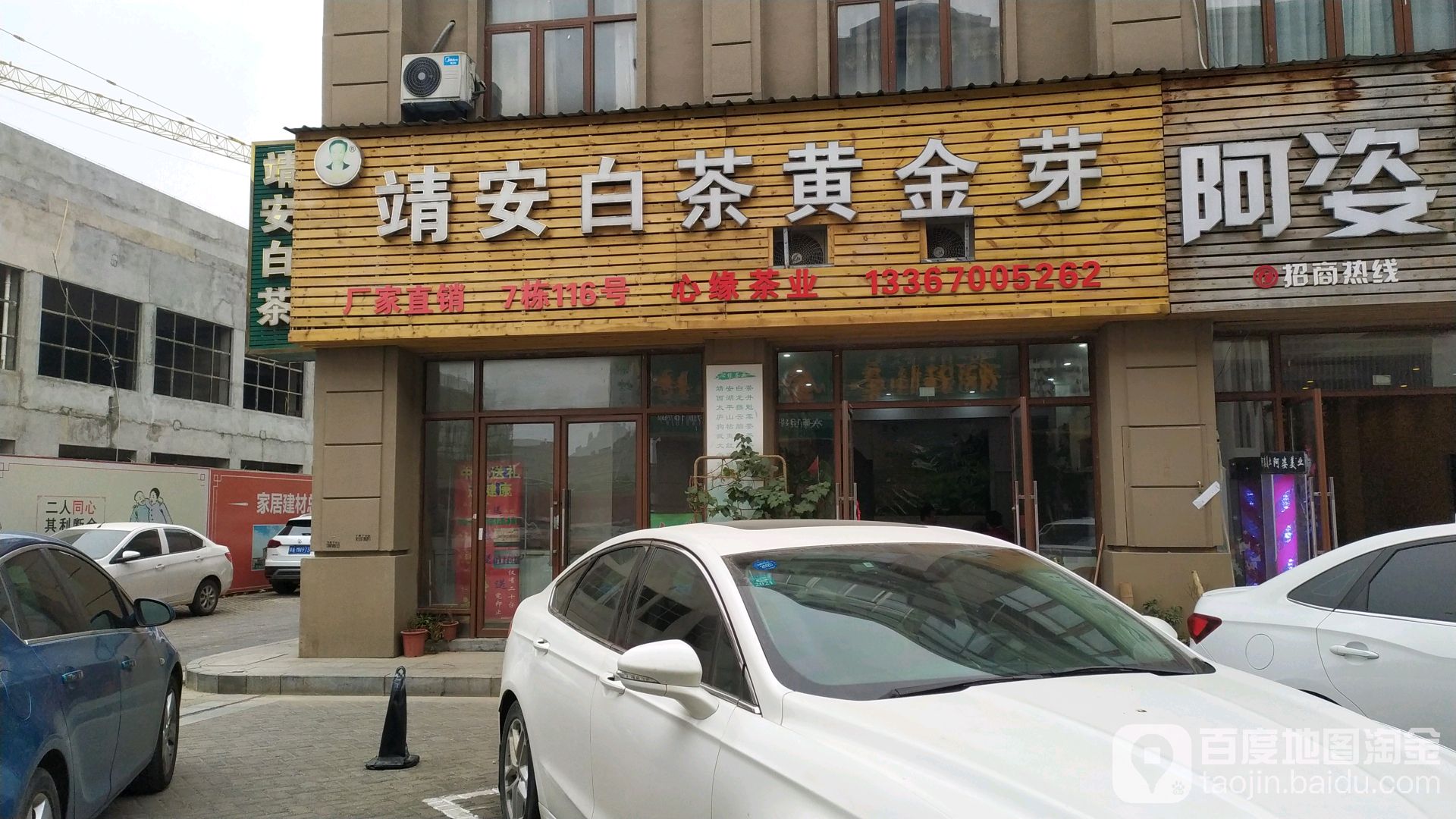 靖安白茶黄金芽