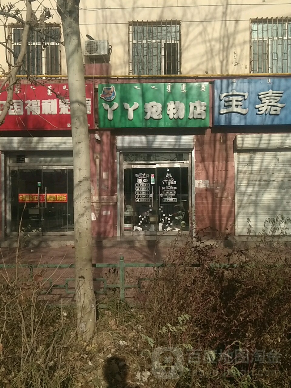 丫丫宠物店(五一街店)