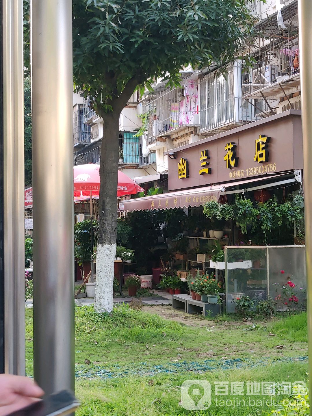 幽兰花店